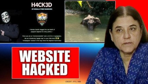 Смерть беременной слонихи: сайт Манеки Ганди взломан из-за комментариев Маллапурама