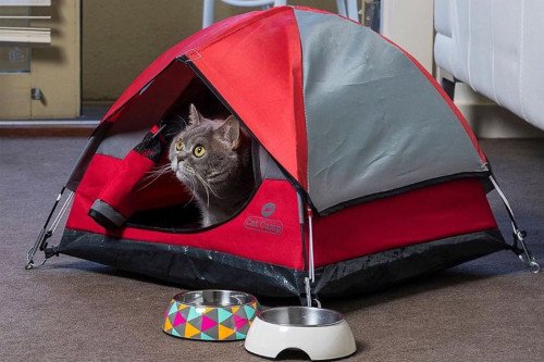 Гуляйте со своими кошками в этой мини-палатке!